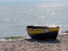 O 2013_Hel 4